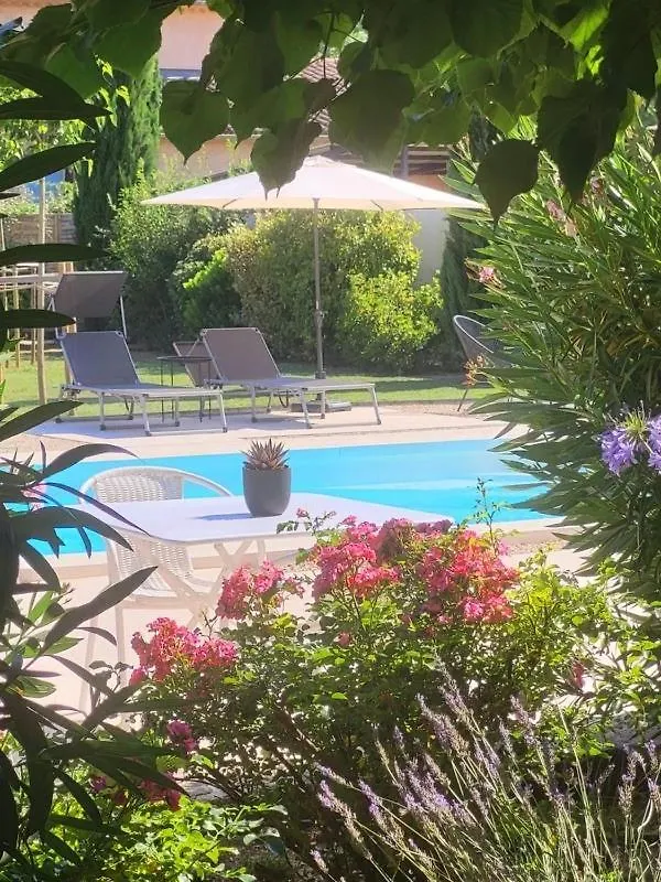 Bed and Breakfast Le Cabanon De Marie à Saignon Couette-café